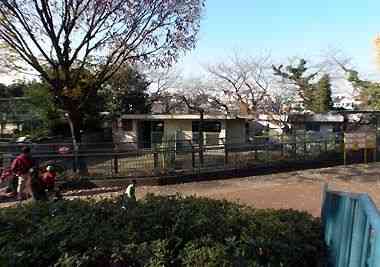 野毛山動物園