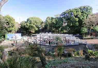 野毛山動物園