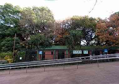 野毛山動物園