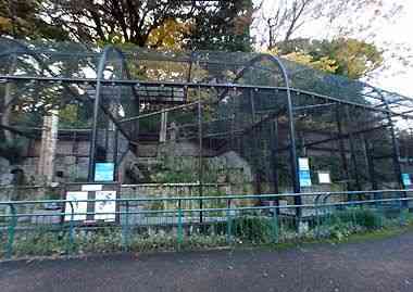 野毛山動物園