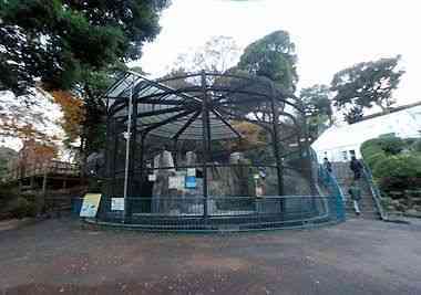野毛山動物園