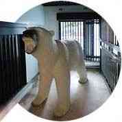 野毛山動物園