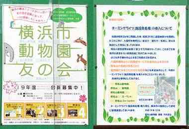野毛山動物園