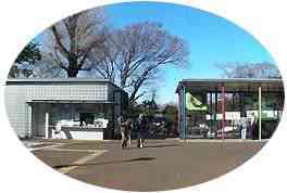 野毛山動物園