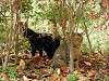 cats_0240_mini.jpg
