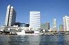 cruise_0020_mini.jpg