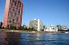 cruise_0041_mini.jpg