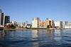 cruise_0058_mini.jpg