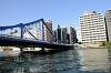 cruise_0121_mini.jpg