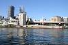 cruise_0129_mini.jpg