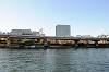 cruise_0142_mini.jpg