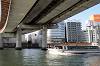 cruise_0148_mini.jpg