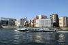cruise_0159_mini.jpg