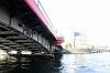 cruise_0171_mini.jpg