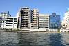 cruise_0181_mini.jpg