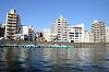 cruise_0230_mini.jpg