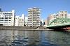 cruise_0234_mini.jpg