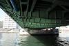 cruise_0238_mini.jpg