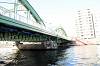 cruise_0241_mini.jpg