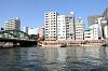 cruise_0243_mini.jpg