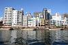 cruise_0244_mini.jpg