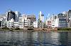cruise_0248_mini.jpg
