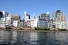 cruise_0250_mini.jpg