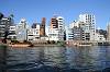 cruise_0257_mini.jpg