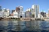 cruise_0258_mini.jpg