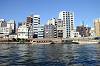 cruise_0259_mini.jpg
