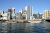 cruise_0260_mini.jpg