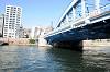 cruise_0264_mini.jpg