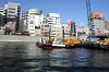 cruise_0279_mini.jpg