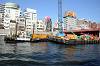 cruise_0280_mini.jpg
