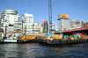 cruise_0281_mini.jpg