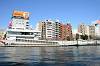 cruise_0290_mini.jpg