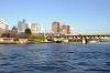 cruise_0294_mini.jpg