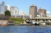 cruise_0296_mini.jpg