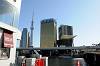 cruise_0305_mini.jpg