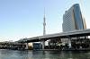 cruise_0310_mini.jpg