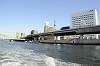 cruise_0375_mini.jpg