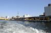 cruise_0413_mini.jpg