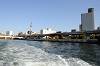 cruise_0414_mini.jpg