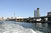 cruise_0417_mini.jpg