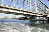 cruise_0420_mini.jpg