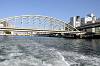 cruise_0424_mini.jpg