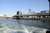 cruise_0456_mini.jpg