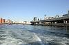 cruise_0460_mini.jpg