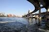 cruise_0464_mini.jpg