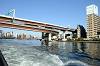 cruise_0471_mini.jpg